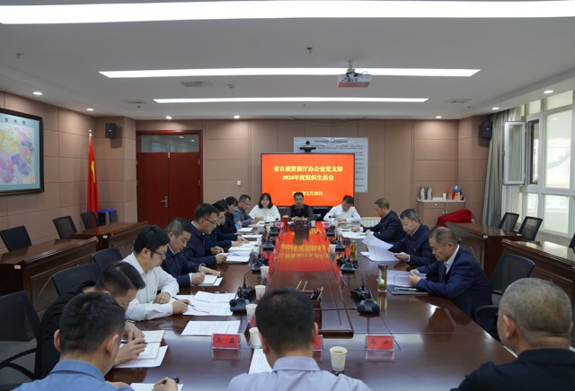 杨扬以普通党员身份参加所在党支部2024年度组织生活会