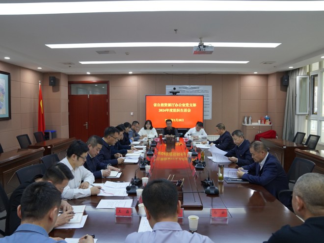 杨扬以普通党员身份参加所在党支部2024年度组织生活会