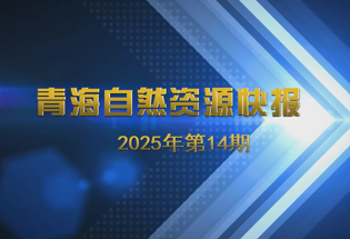 【视频】青海自然资源快报2025年第14期 （厅党组召开理论学习中心组（扩大）学习会，厅主要领导深入海东市调研推动各项重点工作）