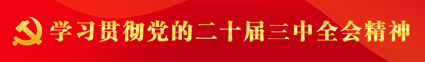 学习贯彻党的二十届三中全会精神