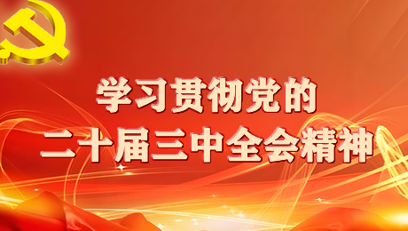 学习贯彻党的二十届三中全会精神