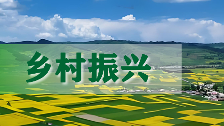 脱贫攻坚 乡村振兴